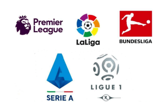 他们能够迅 他们能够迅